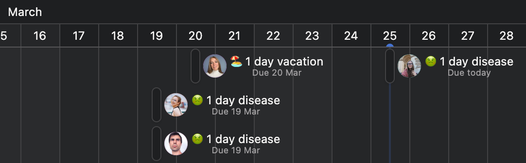 Shared roadmap timeline with holidays and design duty